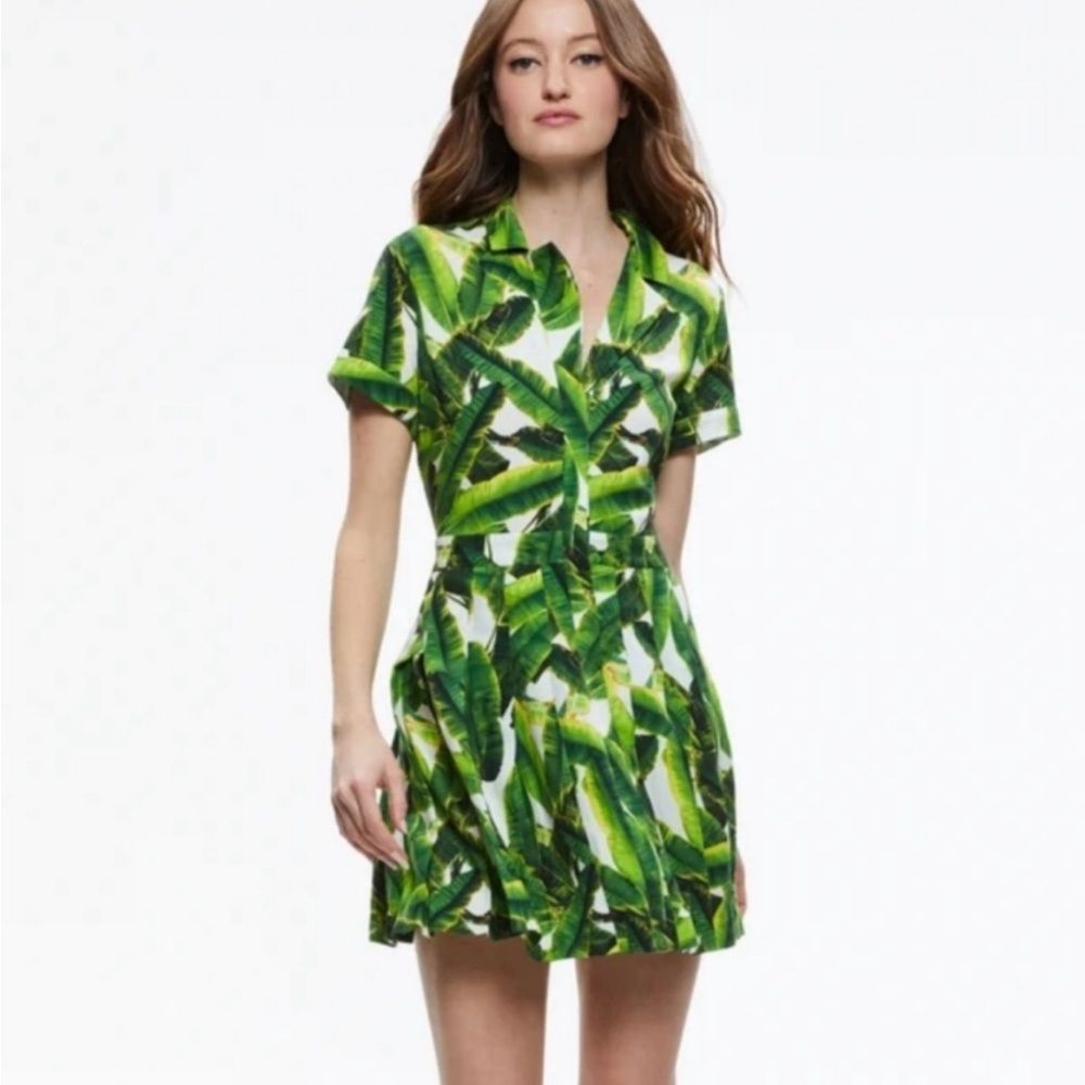 Alice and Olivia Tamala Button Front Shirt Dress